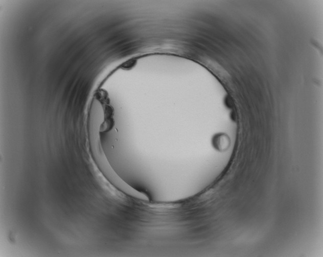 X0000097491200200803141950