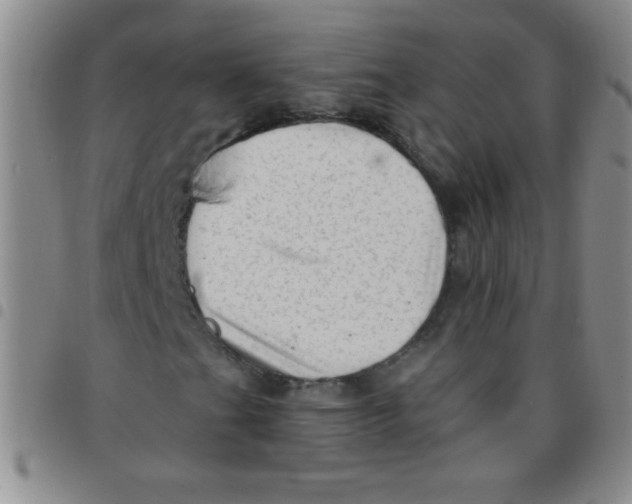 X0000097491201200803141949