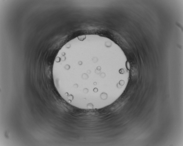 X0000097491204200803141949