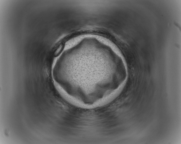 X0000097491206200803141949