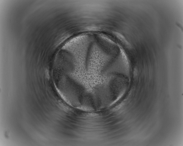 X0000097491209200803141949