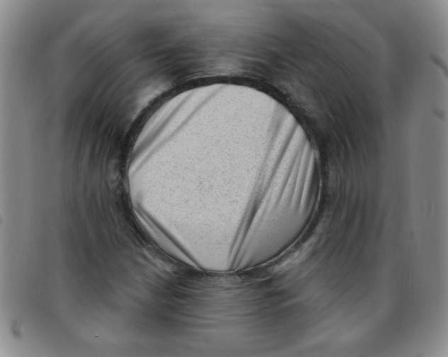 X0000097491210200803141949