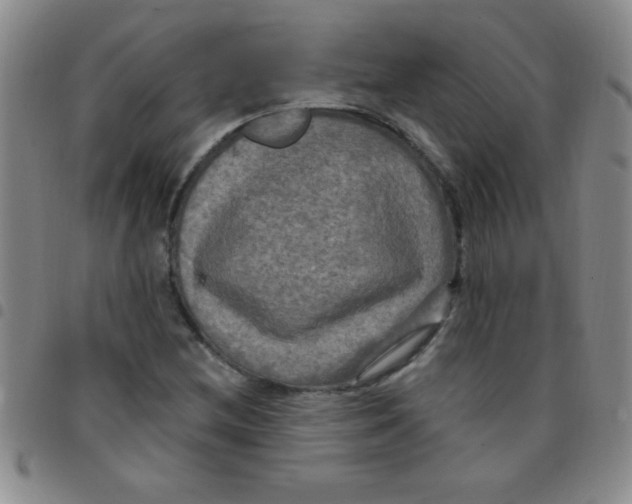 X0000097491212200803141949