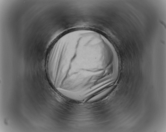 X0000097491216200803141949