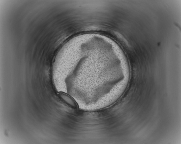 X0000097491217200803141949