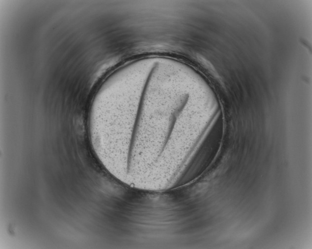 X0000097491218200803141949