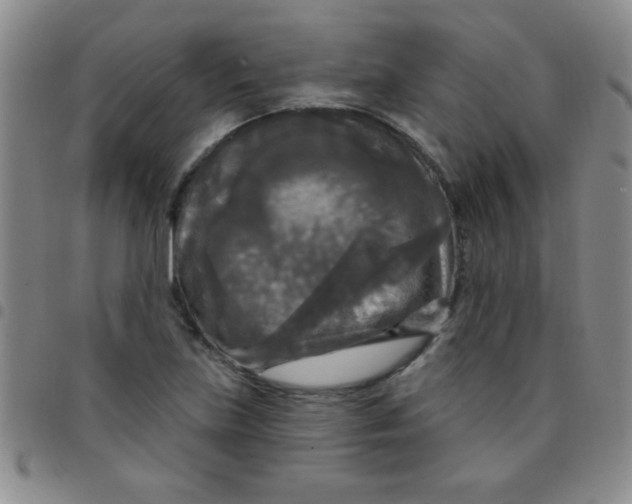 X0000097491219200803141949