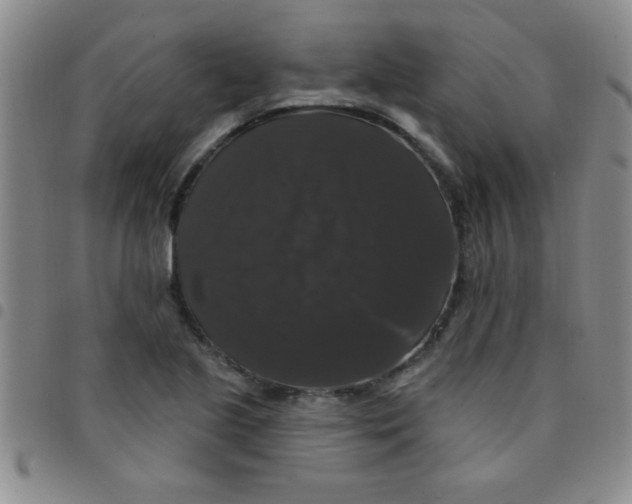 X0000097491221200803141949