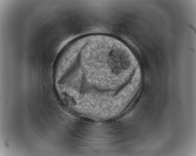 X0000097491222200803141949