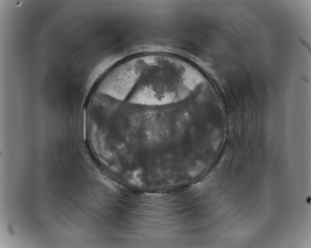 X0000097491223200803141949