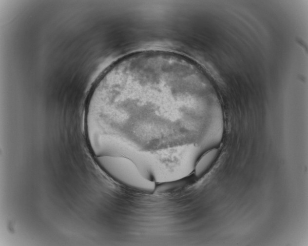 X0000097491224200803141949