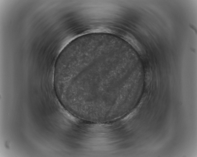 X0000097491228200803141949