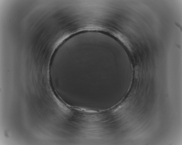 X0000097491229200803141949