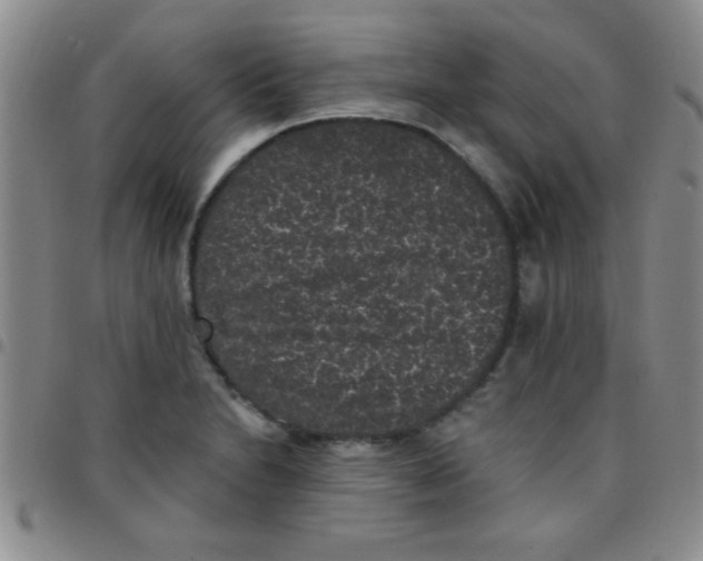 X0000097491230200803141949