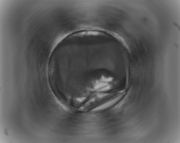 X0000097491231200803141949