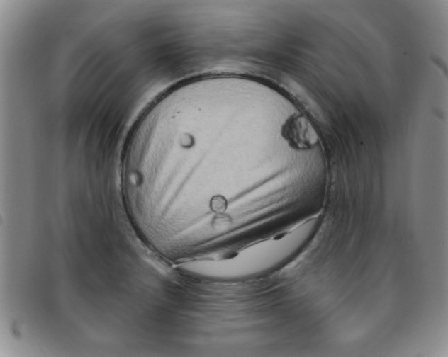 X0000097491232200803141950