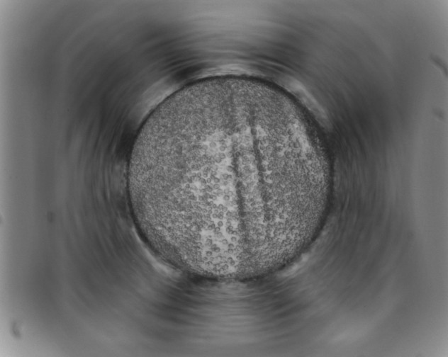 X0000097491233200803141950