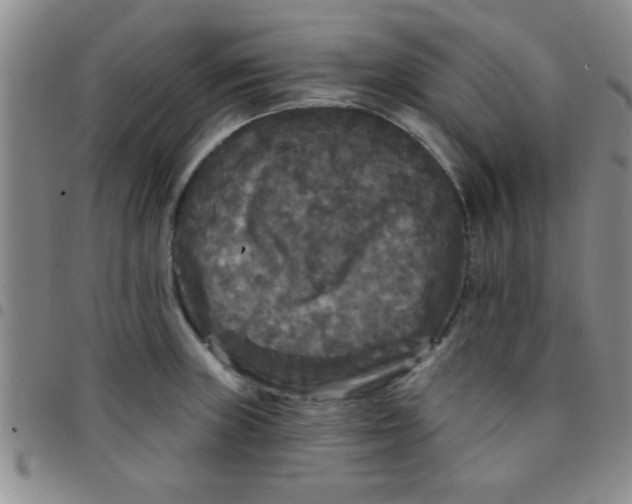 X0000097491235200803141950