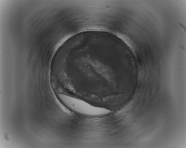 X0000097491237200803141950