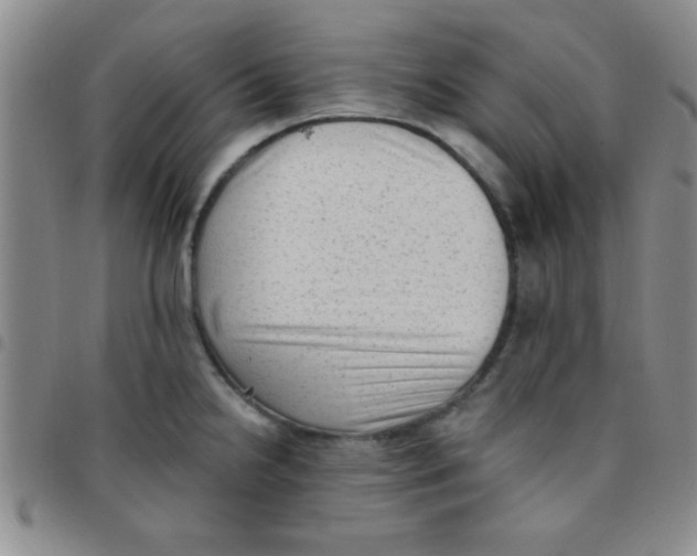 X0000097491238200803141950