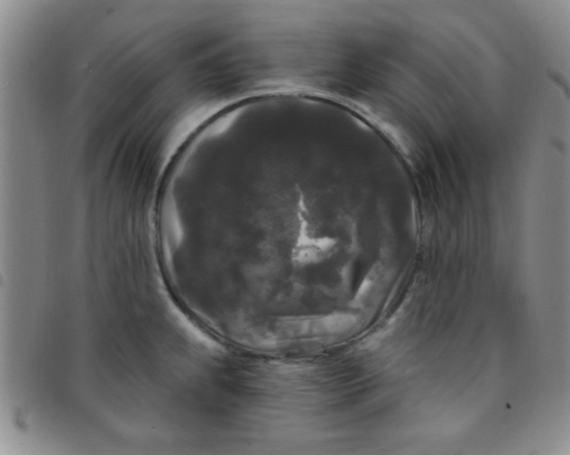 X0000097491239200803141950