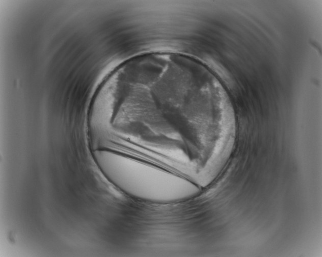 X0000097491240200803141950