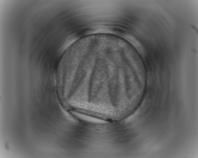 X0000097491241200803141950