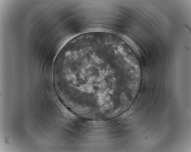 X0000097491244200803141950