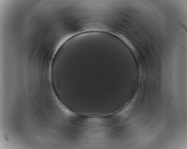 X0000097491246200803141950