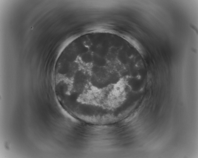 X0000097491247200803141950