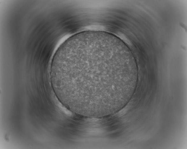 X0000097491248200803141950