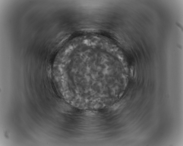 X0000097491251200803141949