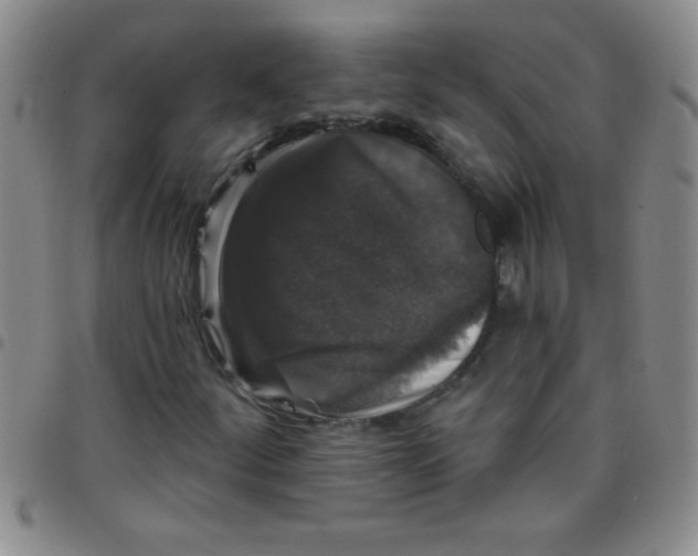 X0000097491252200803141949