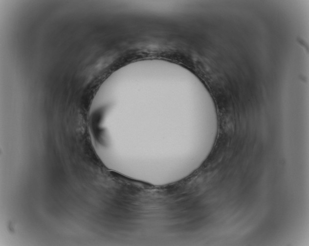 X0000097491253200803141949