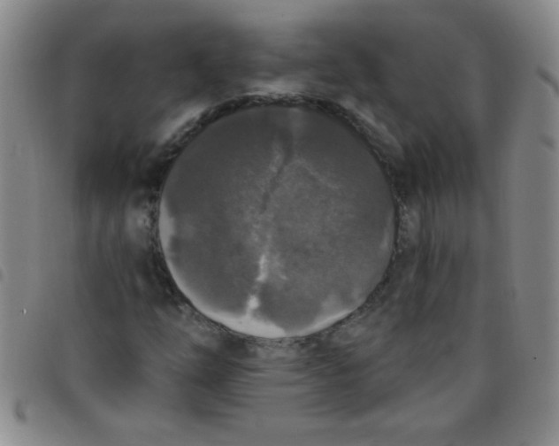 X0000097491254200803141949