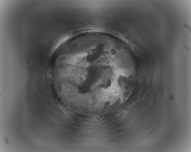 X0000097491255200803141949