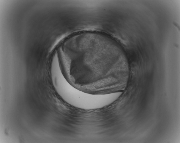 X0000097491256200803141949