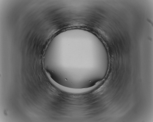 X0000097491257200803141949