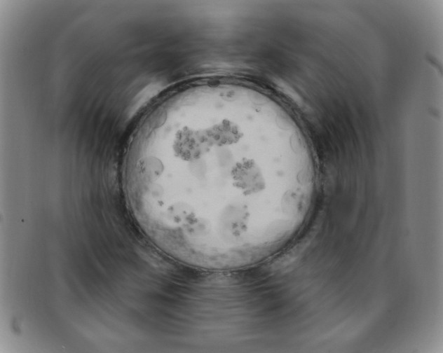 X0000097491259200803141949