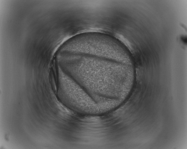 X0000097491260200803141949