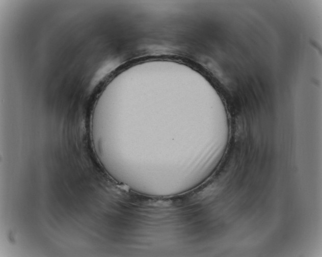 X0000097491261200803141949