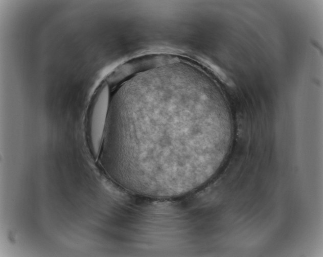 X0000097491264200803141949