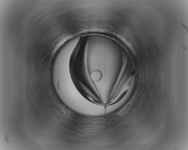 X0000097491266200803141949