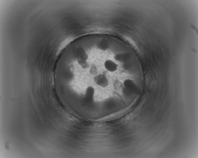 X0000097491267200803141949