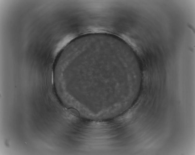 X0000097491269200803141949