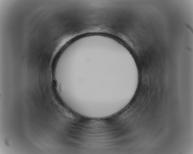 X0000097491270200803141949