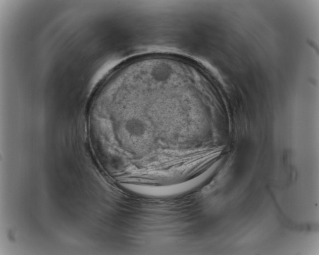 X0000097491271200803141949