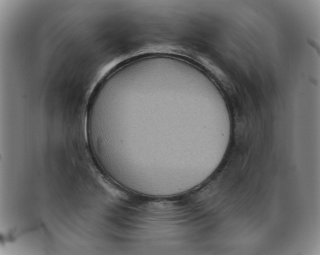 X0000097491272200803141949