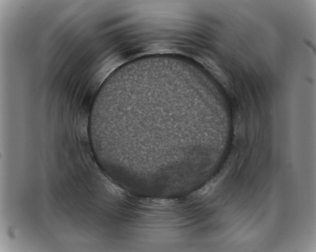 X0000097491273200803141949