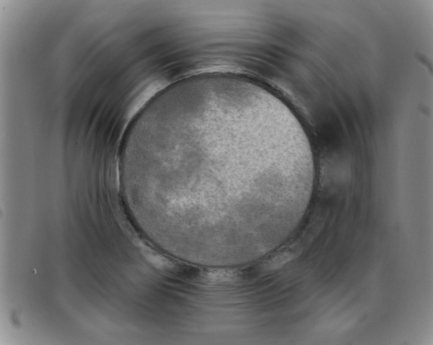 X0000097491274200803141949